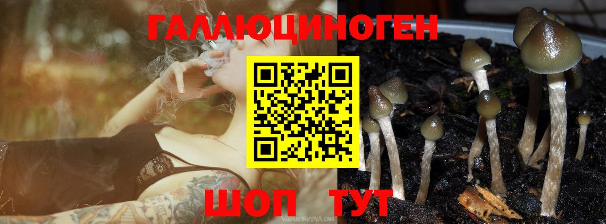 Галлюциногенные грибы Psilocybine cubensis  Вход с VPN  Норильск 